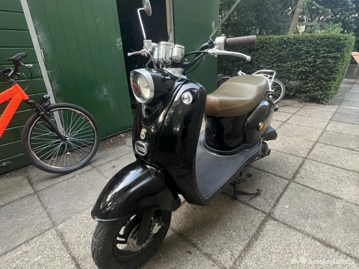 BTC Classico zwart