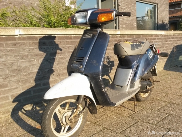 Yamaha Mint blauw