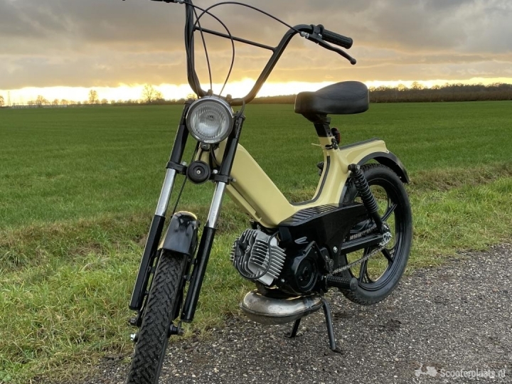 Tomos Standard beige