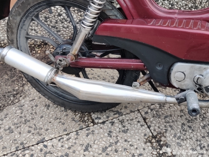 Tomos Standard rood