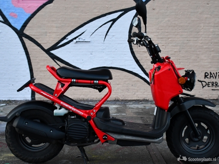 Honda Zoomer rood