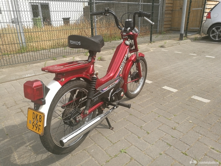 Tomos Standard rood