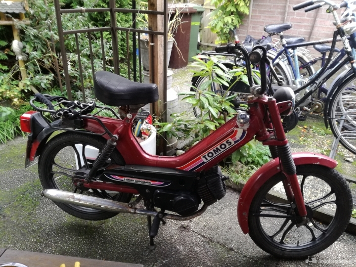 Tomos Standard rood