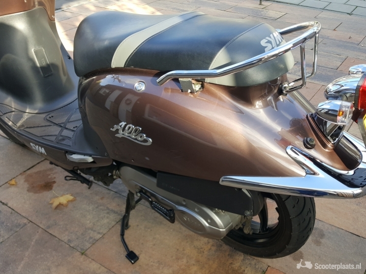 Sym Allo bruin
