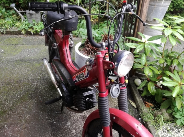 Tomos Standard rood