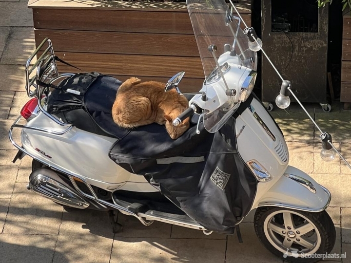 Vespa S wit