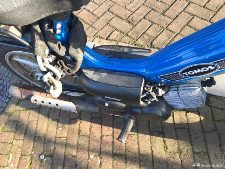 Tomos Standard blauw