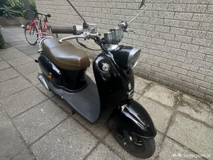 BTC Classico zwart