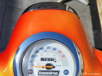 Beeline Papilion oranje