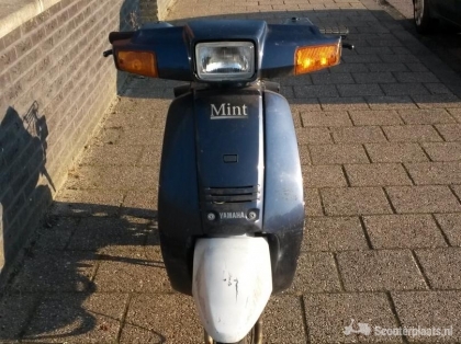 Yamaha Mint blauw