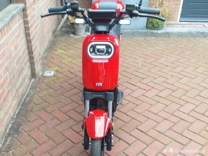 Overig Overig rood