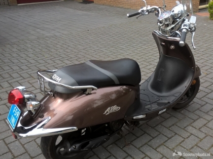 Sym Allo bruin
