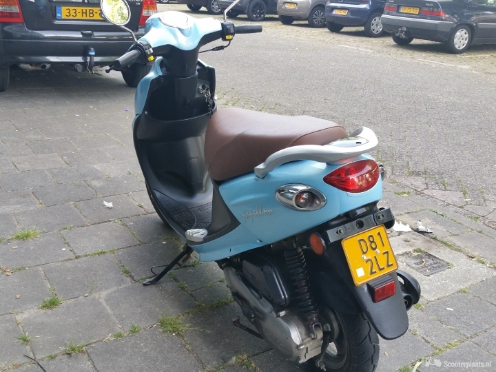 Beeline Papilion blauw