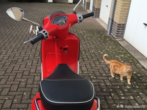 Vespa Si rood