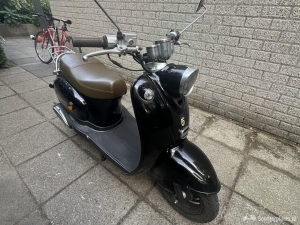 BTC Classico zwart